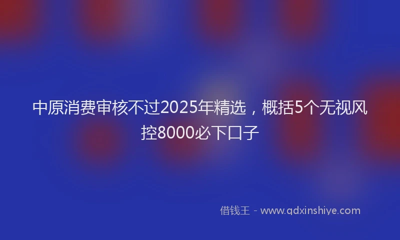 中原消费审核不过2025年精选，概括5个无视风控8000必下口子
