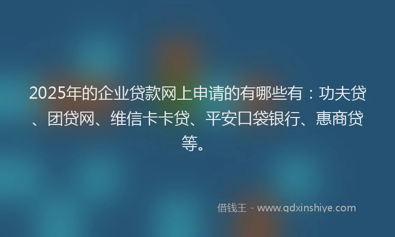 2025年的企业贷款网上申请的有哪些有：功夫贷、团贷网、维信卡卡贷、平安口袋银行、惠商贷等。