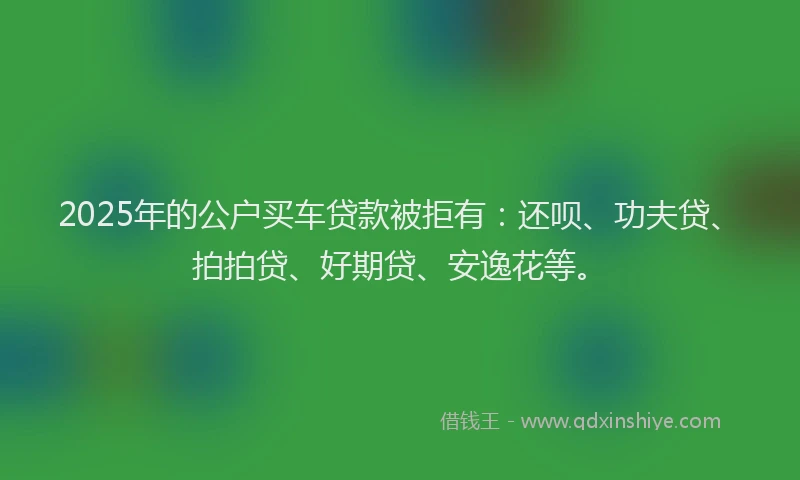 2025年的公户买车贷款被拒有：还呗、功夫贷、拍拍贷、好期贷、安逸花等。