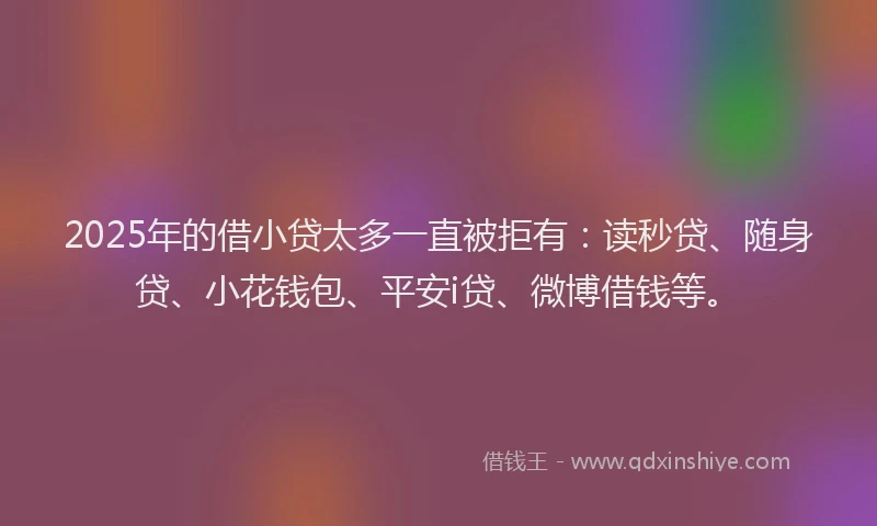 2025年的借小贷太多一直被拒有：读秒贷、随身贷、小花钱包、平安i贷、微博借钱等。