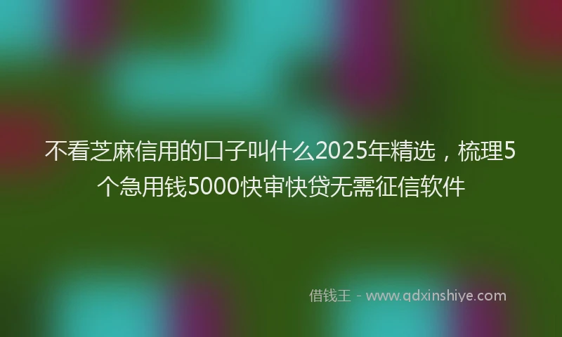 不看芝麻信用的口子叫什么2025年精选，梳理5个急用钱5000快审快贷无需征信软件