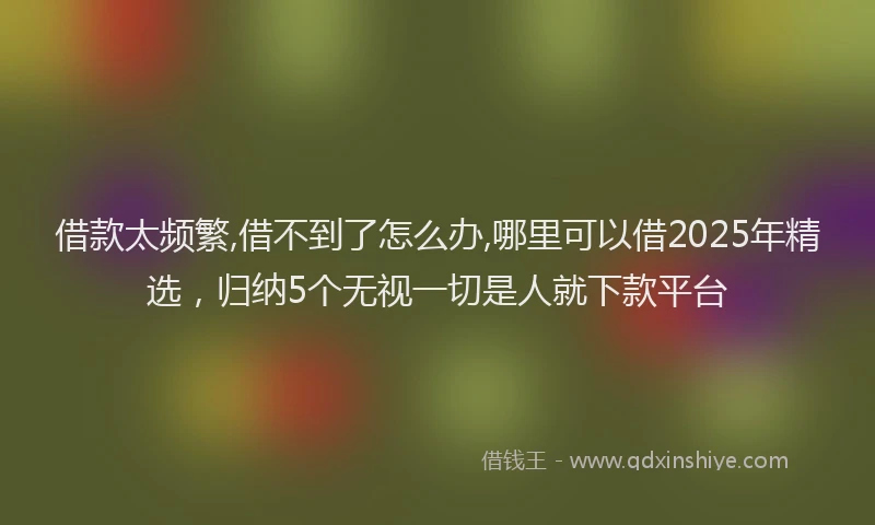 借款太频繁,借不到了怎么办,哪里可以借2025年精选，归纳5个无视一切是人就下款平台