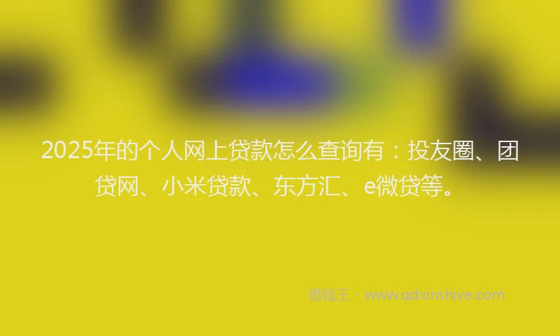 2025年的个人网上贷款怎么查询有：投友圈、团贷网、小米贷款、东方汇、e微贷等。