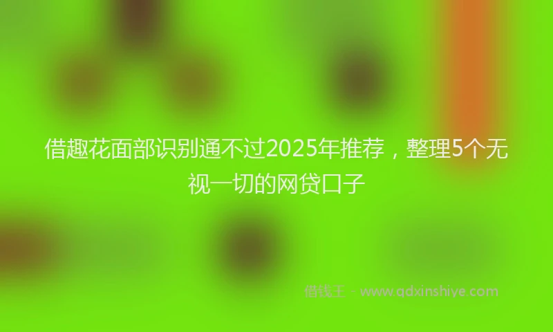 借趣花面部识别通不过2025年推荐，整理5个无视一切的网贷口子