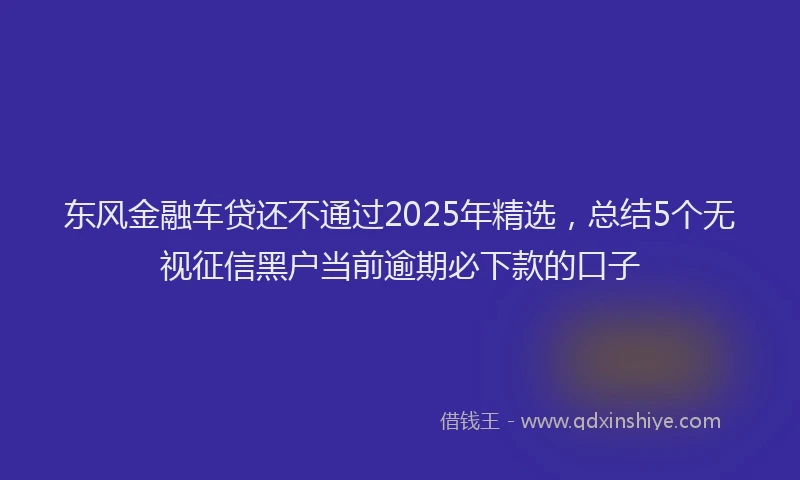 东风金融车贷还不通过2025年精选，总结5个无视征信黑户当前逾期必下款的口子