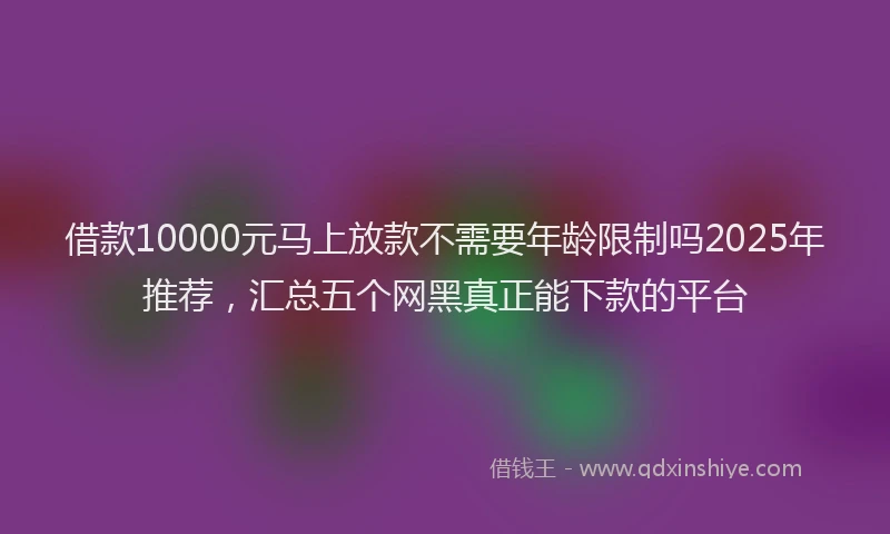 借款10000元马上放款不需要年龄限制吗2025年推荐，汇总五个网黑真正能下款的平台