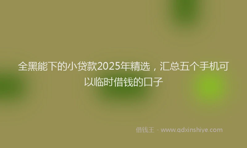 全黑能下的小贷款2025年精选，汇总五个手机可以临时借钱的口子