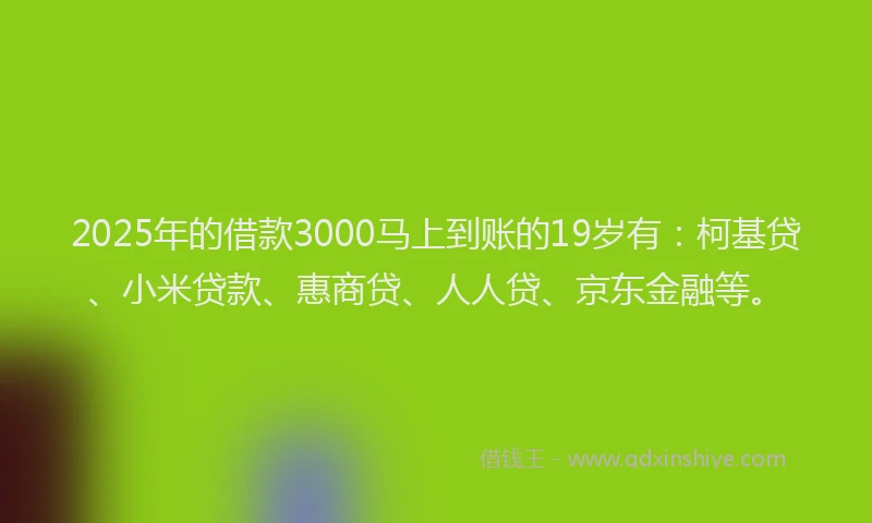 2025年的借款3000马上到账的19岁有：柯基贷、小米贷款、惠商贷、人人贷、京东金融等。