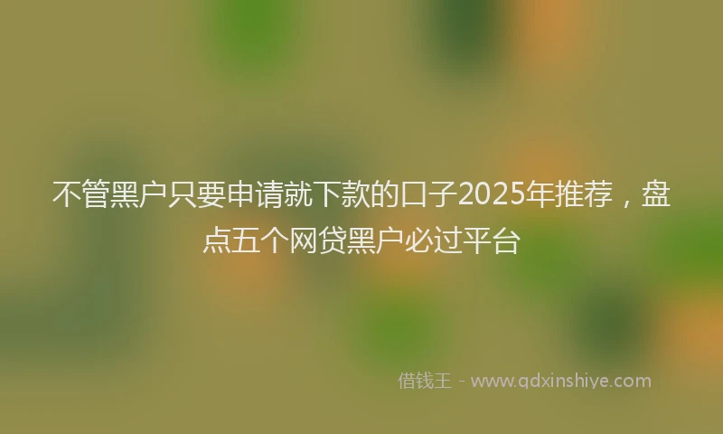 不管黑户只要申请就下款的口子2025年推荐，盘点五个网贷黑户必过平台