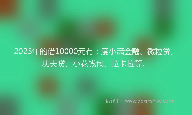 2025年的借10000元有：度小满金融、微粒贷、功夫贷、小花钱包、拉卡拉等。