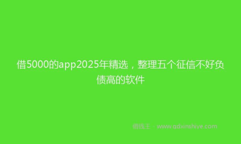 借5000的app2025年精选，整理五个征信不好负债高的软件