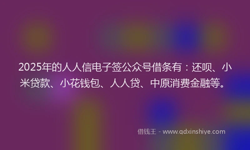 2025年的人人信电子签公众号借条有：还呗、小米贷款、小花钱包、人人贷、中原消费金融等。