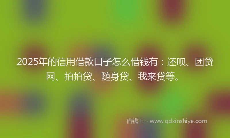 2025年的信用借款口子怎么借钱有：还呗、团贷网、拍拍贷、随身贷、我来贷等。
