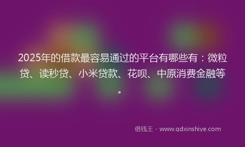 2025年的借款最容易通过的平台有哪些有：微粒贷、读秒贷、小米贷款、花呗、中原消费金融等。