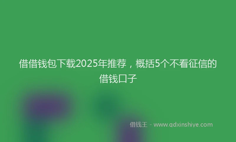 借借钱包下载2025年推荐，概括5个不看征信的借钱口子