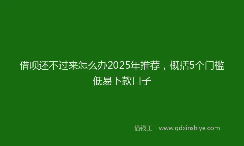 借呗还不过来怎么办2025年推荐，概括5个门槛低易下款口子