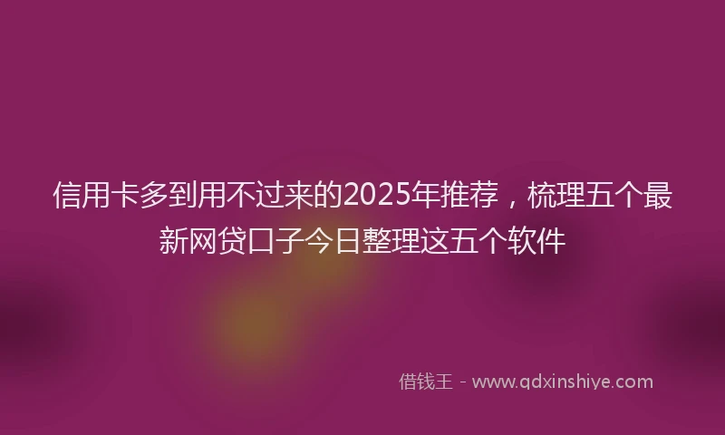 信用卡多到用不过来的2025年推荐，梳理五个最新网贷口子今日整理这五个软件