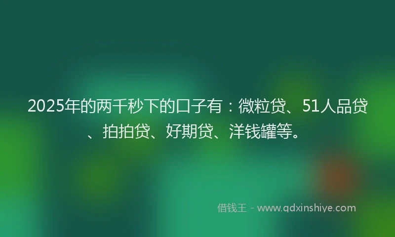 2025年的两千秒下的口子有：微粒贷、51人品贷、拍拍贷、好期贷、洋钱罐等。