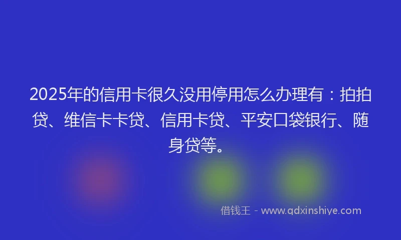 2025年的信用卡很久没用停用怎么办理有：拍拍贷、维信卡卡贷、信用卡贷、平安口袋银行、随身贷等。