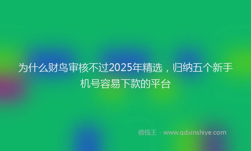 为什么财鸟审核不过2025年精选，归纳五个新手机号容易下款的平台