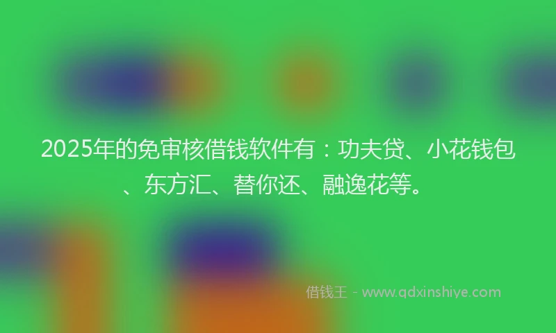 2025年的免审核借钱软件有：功夫贷、小花钱包、东方汇、替你还、融逸花等。