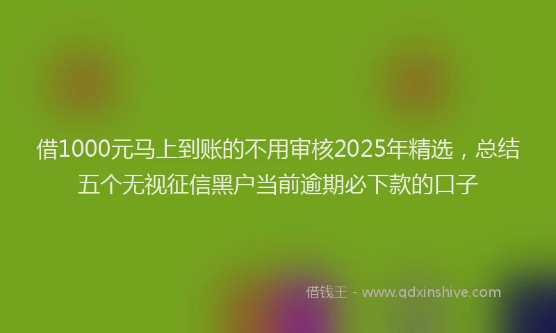 借1000元马上到账的不用审核2025年精选，总结五个无视征信黑户当前逾期必下款的口子
