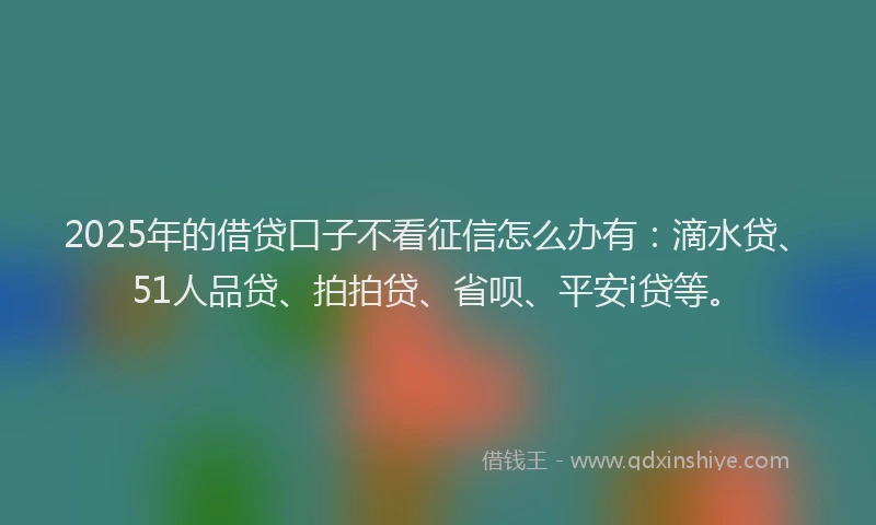 2025年的借贷口子不看征信怎么办有：滴水贷、51人品贷、拍拍贷、省呗、平安i贷等。