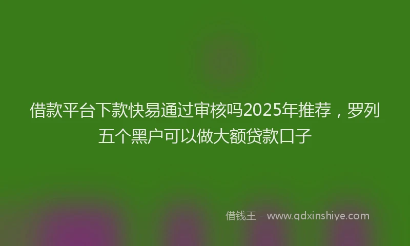 借款平台下款快易通过审核吗2025年推荐，罗列五个黑户可以做大额贷款口子