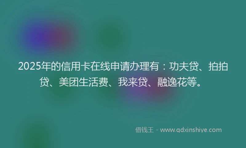 2025年的信用卡在线申请办理有：功夫贷、拍拍贷、美团生活费、我来贷、融逸花等。