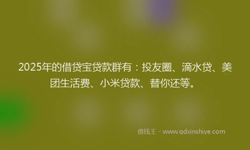 2025年的借贷宝贷款群有：投友圈、滴水贷、美团生活费、小米贷款、替你还等。