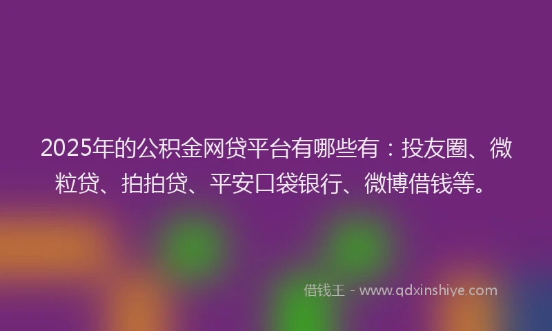 2025年的公积金网贷平台有哪些有：投友圈、微粒贷、拍拍贷、平安口袋银行、微博借钱等。