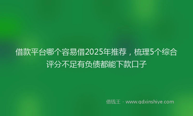 借款平台哪个容易借2025年推荐，梳理5个综合评分不足有负债都能下款口子