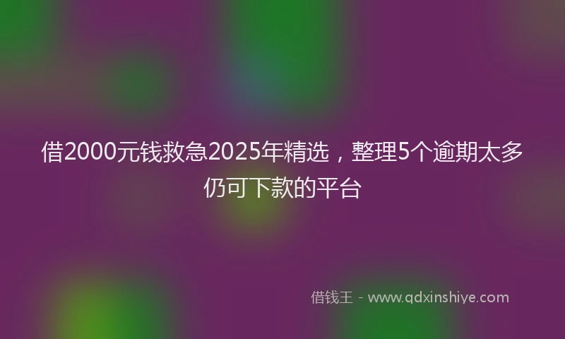 借2000元钱救急2025年精选，整理5个逾期太多仍可下款的平台