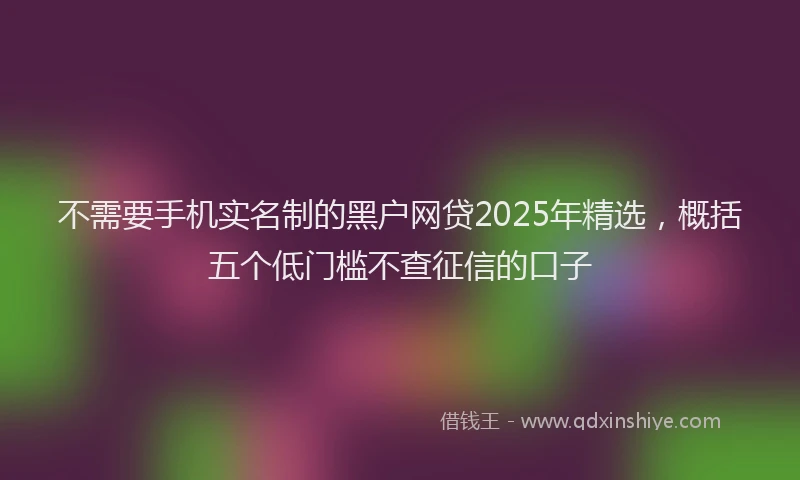 不需要手机实名制的黑户网贷2025年精选，概括五个低门槛不查征信的口子