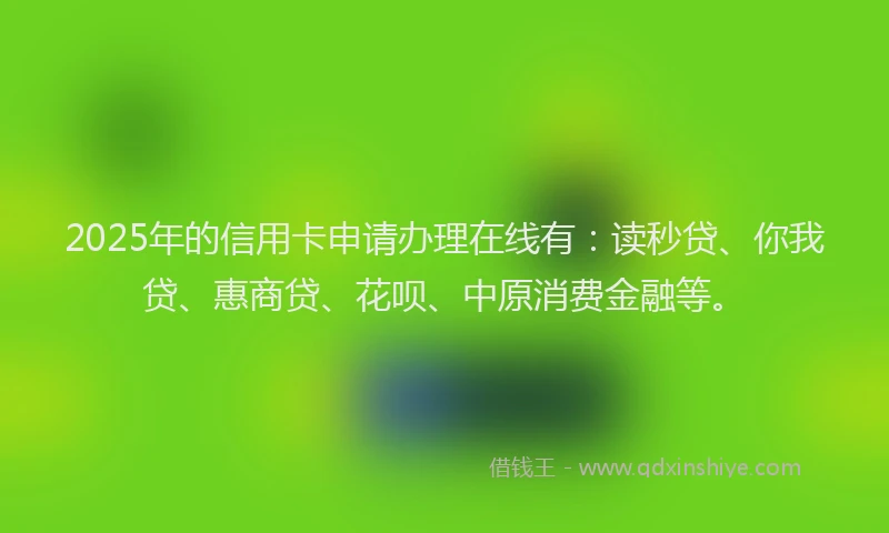2025年的信用卡申请办理在线有：读秒贷、你我贷、惠商贷、花呗、中原消费金融等。