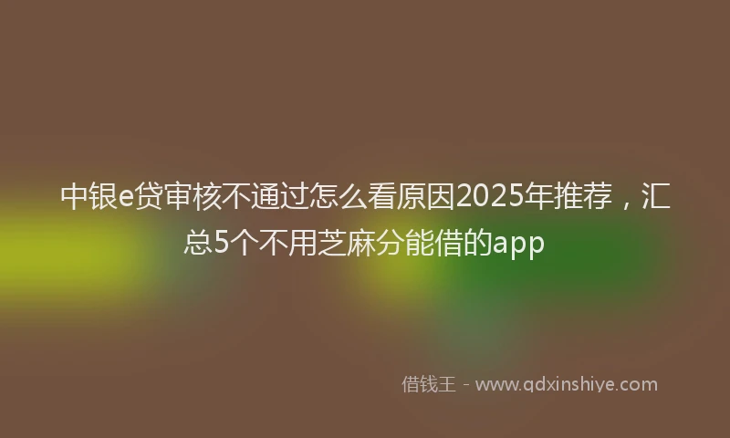 中银e贷审核不通过怎么看原因2025年推荐，汇总5个不用芝麻分能借的app
