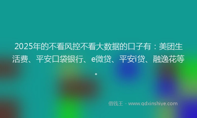 2025年的不看风控不看大数据的口子有：美团生活费、平安口袋银行、e微贷、平安i贷、融逸花等。