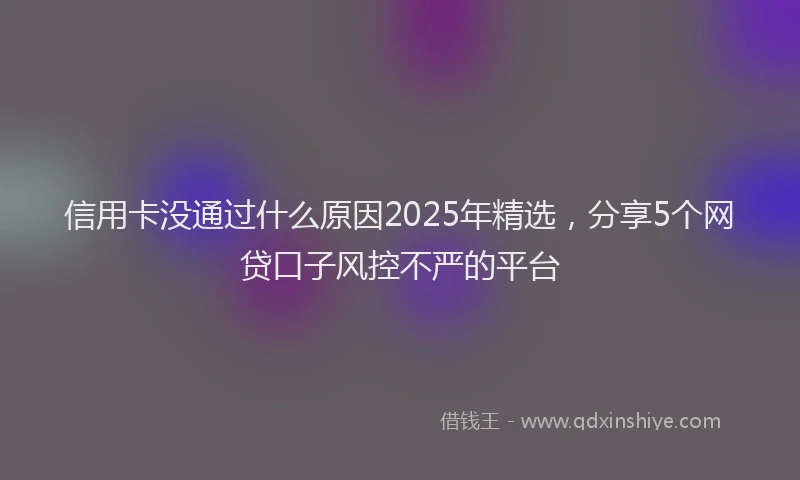 信用卡没通过什么原因2025年精选，分享5个网贷口子风控不严的平台