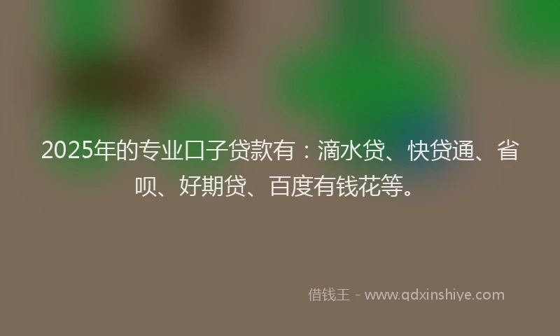 2025年的专业口子贷款有：滴水贷、快贷通、省呗、好期贷、百度有钱花等。
