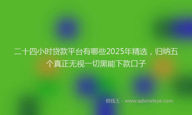 二十四小时贷款平台有哪些2025年精选，归纳五个真正无视一切黑能下款口子