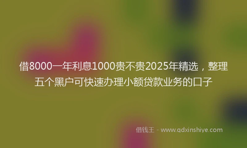借8000一年利息1000贵不贵2025年精选，整理五个黑户可快速办理小额贷款业务的口子