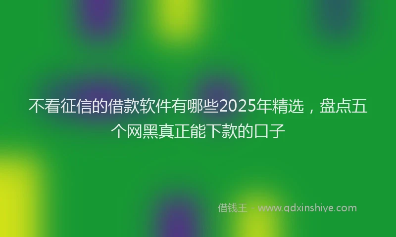 不看征信的借款软件有哪些2025年精选，盘点五个网黑真正能下款的口子