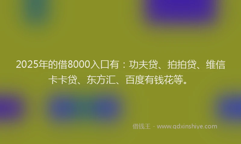 2025年的借8000入口有：功夫贷、拍拍贷、维信卡卡贷、东方汇、百度有钱花等。