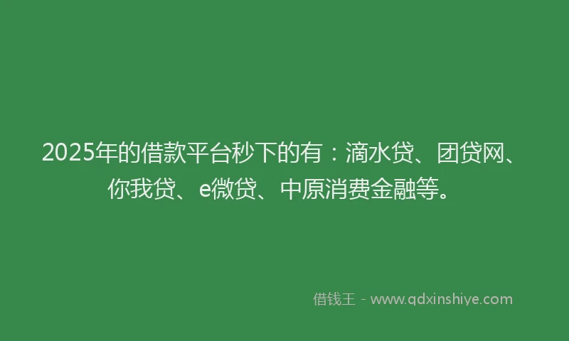 2025年的借款平台秒下的有：滴水贷、团贷网、你我贷、e微贷、中原消费金融等。