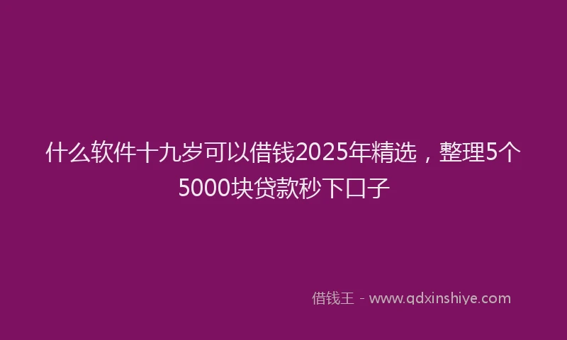什么软件十九岁可以借钱2025年精选，整理5个5000块贷款秒下口子