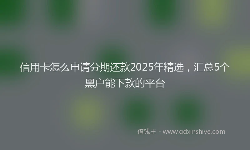 信用卡怎么申请分期还款2025年精选，汇总5个黑户能下款的平台