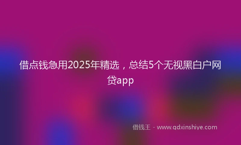 借点钱急用2025年精选，总结5个无视黑白户网贷app