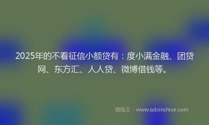 2025年的不看征信小额贷有：度小满金融、团贷网、东方汇、人人贷、微博借钱等。