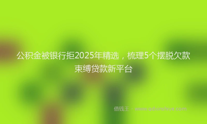 公积金被银行拒2025年精选，梳理5个摆脱欠款束缚贷款新平台