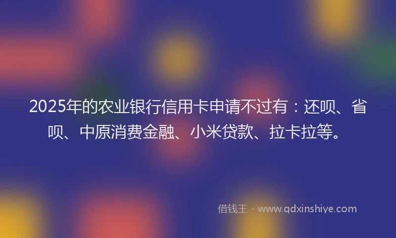 2025年的农业银行信用卡申请不过有：还呗、省呗、中原消费金融、小米贷款、拉卡拉等。